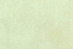 310_Fabriano_37_Renate_Cream/Renate 141 45% Polyester/42% Acrilic/13% Viscose Бельгия 4 200 руб.