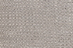 337_Fusion_17_Steel_Fossil/Steel 300 100% Polyester Бельгия 4 000 руб.