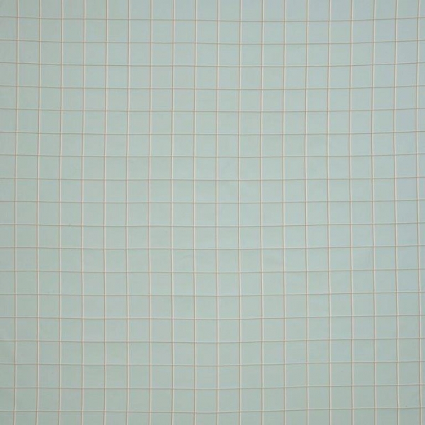 Henley_Henley_Check_Duckegg