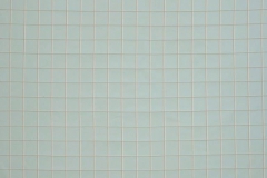 Henley_Henley_Check_Duckegg