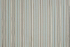 Henley_Regatta_Stripe_Duckegg