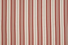 Henley_Regatta_Stripe_Peony