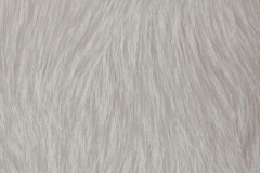 100000137