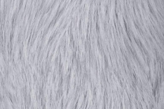 100000138