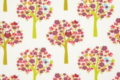 Kids_Hoot_Brights