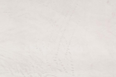 NEW-FUR_09