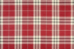 TUDOR_01