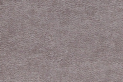 7490043