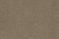 7490057