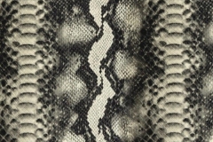 7490068