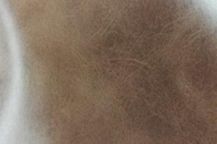 IMG_20160721_135748