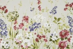 Meadow_Wild_meadow_Magenta