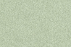 312_Mezzano_68_Santino_Fern/Santino 150 100% Polyester Бельгия 2 300 руб.
