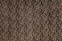 Moorland_Arboretum_Bark