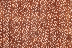 Moorland_Arboretum_Copper