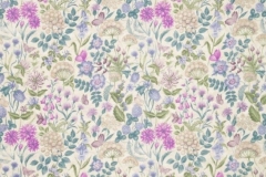 Moorland_Field_Flowers_Bilberry