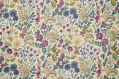 Moorland_Field_Flowers_Elderberry