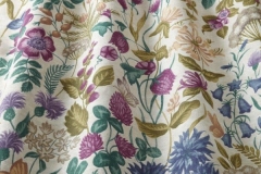 Moorland_Field_Flowers_Elderberry_interior1
