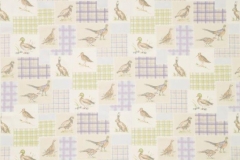 Moorland_Moorland_Animals_Bilberry