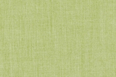 313_Novello_29_Lioni_Willow/Lioni 140 100% Polyester Бельгия 2 700 руб.