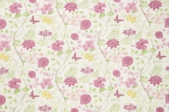 Paradiso__Amazon_Fuchsia