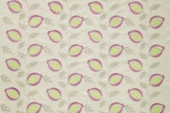 Paradiso__Fiori_Fuchsia