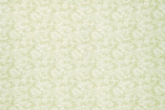 Paradiso__Havana_Willow