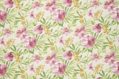 Paradiso__Paradiso_Fuchsia