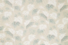 Paradiso__Savannah_Celadon