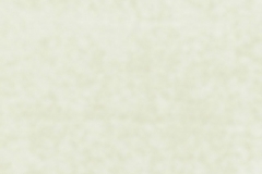 311_Primiero_31_Primiero_Putty/Primiero 140 53% Acrilic/42% Polyester/5% Viscose Бельгия 3 800 руб.