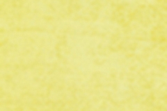 311_Primiero_39_Primiero_Sunflower/Primiero 140 53% Acrilic/42% Polyester/5% Viscose Бельгия 3 800 руб.