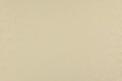 36300001