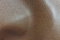 IMG_20160721_120038