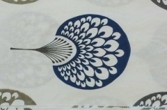 1. SAFIRA