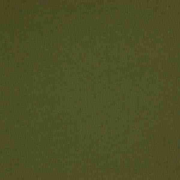 336_Supreme_55_Cashmere_Chive/Cashmere 146 100% Polyester Бельгия 3 100 руб.