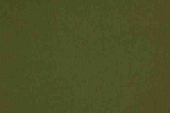 336_Supreme_55_Cashmere_Chive/Cashmere 146 100% Polyester Бельгия 3 100 руб.
