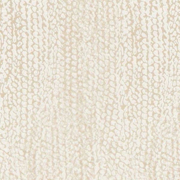 3C_Textures_59_Plastination_22-Fresco