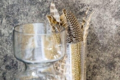 3C_Textures_13_Blur_68-Chinchilla_interior1