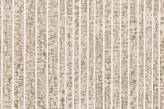 3C_Textures_51_Nerve_73-Stucco