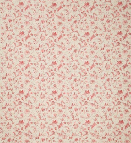 Tuileries_Tuileries_Tearose