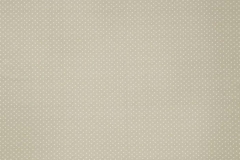 Tuileries_Carousel_Stone
