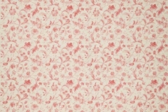 Tuileries_Tuileries_Tearose